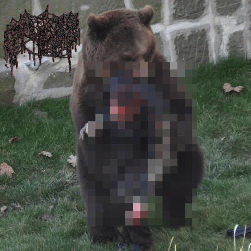 Ripped to Shit and Skull Fucked by a Grizzly Bear